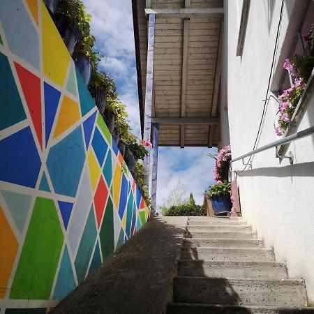 Seenah - Ihre Wohnung Am Bodensee / Untersee Gaienhofen  Exteriör bild