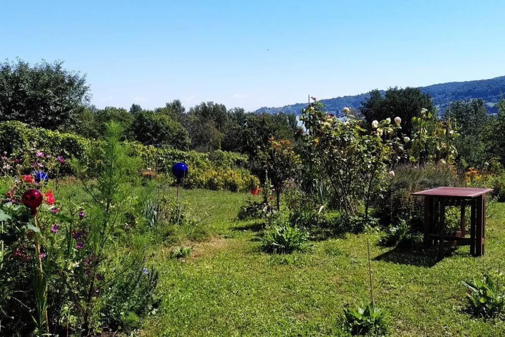 Seenah - Ihre Wohnung Am Bodensee / Untersee Gaienhofen  Exteriör bild