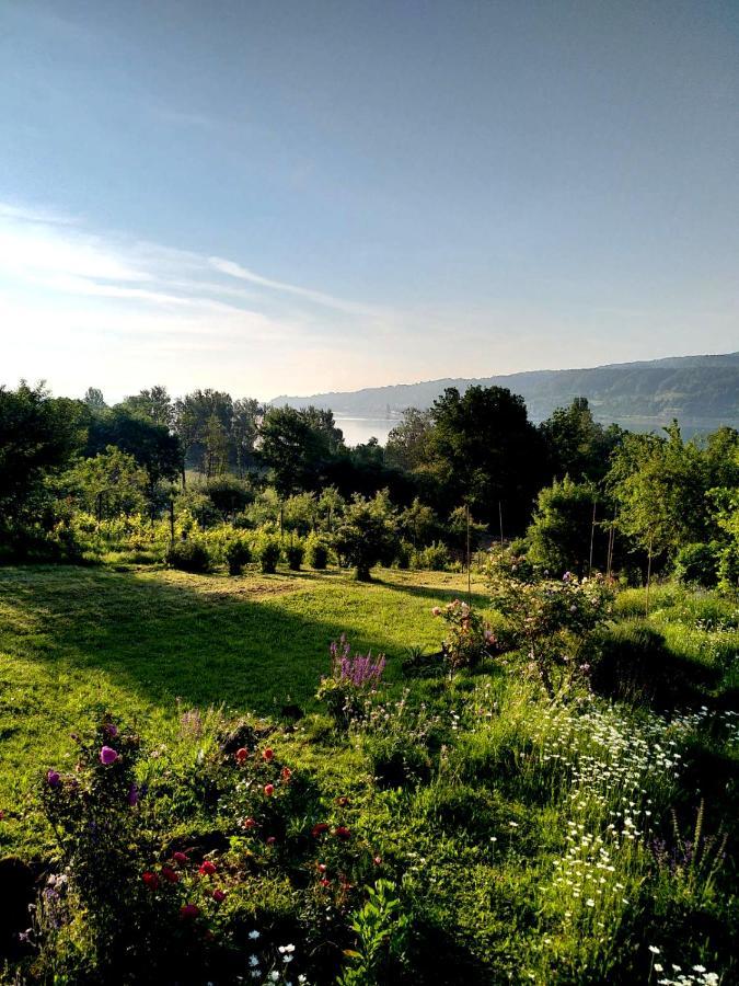 Seenah - Ihre Wohnung Am Bodensee / Untersee Gaienhofen  Exteriör bild